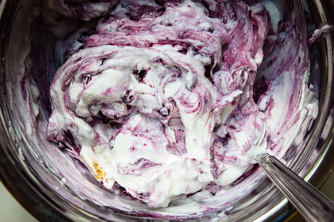 Blueberry Pie Ice Cream {AIP, Keto, Vegan, Low Histamine}