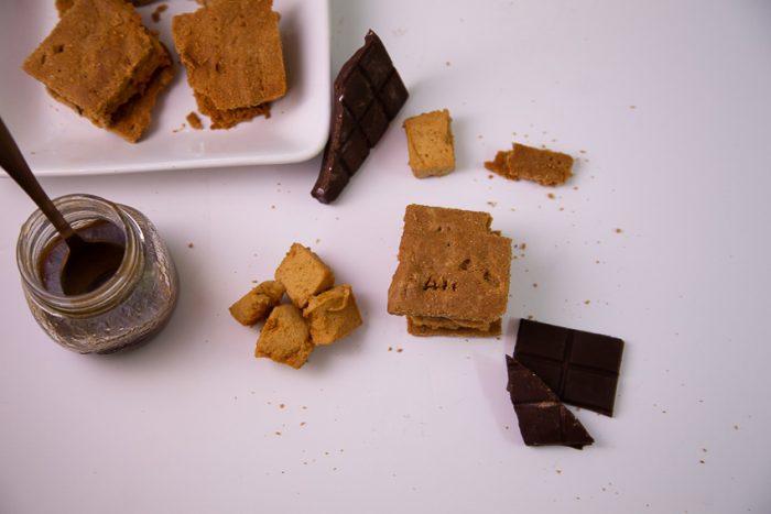 Guest Post: Salted Caramel S'mores {AIP + Paleo}